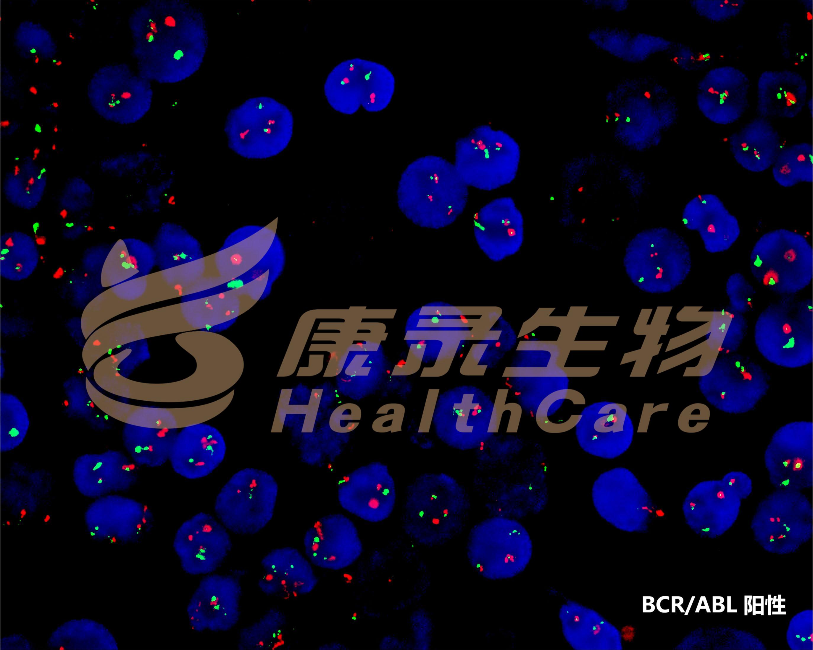 中国·拉斯维加斯(3499·官方认证)网站-Officialwebsite